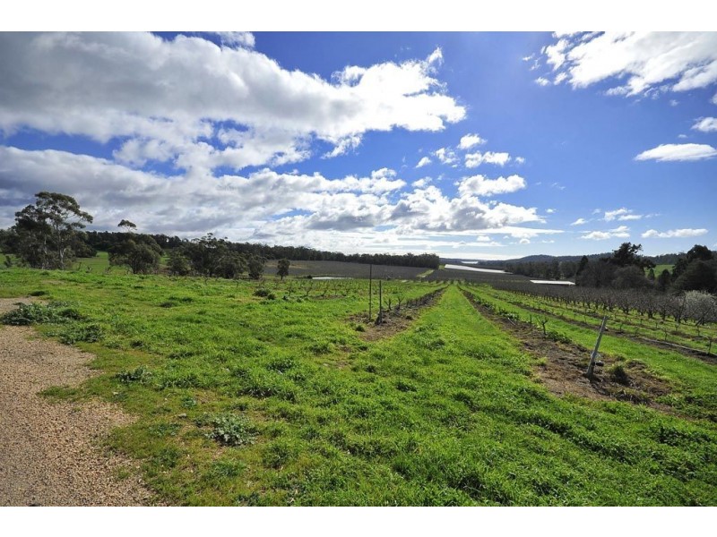 299 Valley Road, Sidmouth TAS 7270