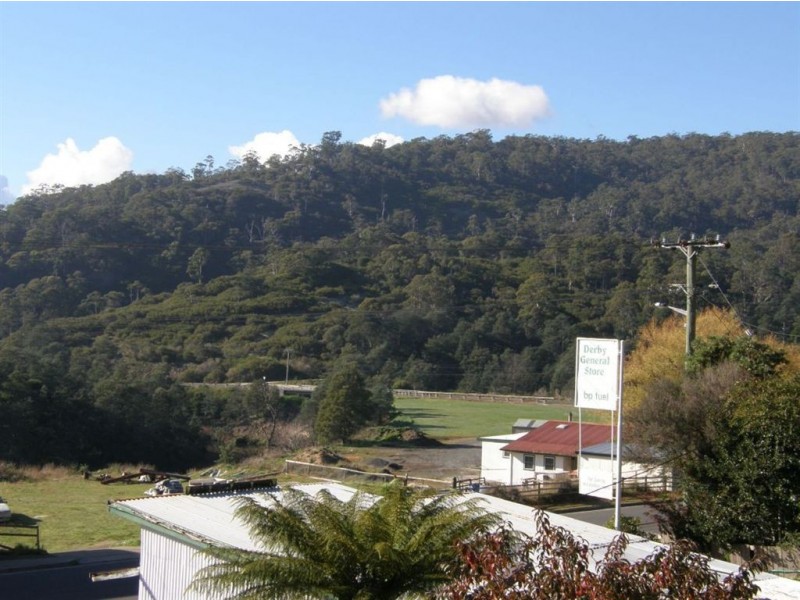 74 Main Street, Derby TAS 7264