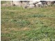 Lot 124 Fieldings Way, Ulverstone TAS 7315