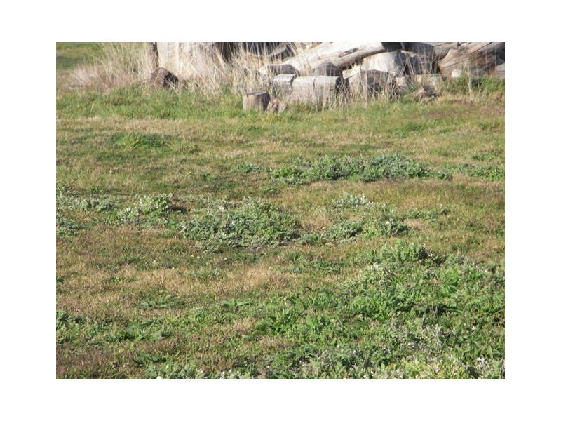 Lot 124 Fieldings Way, Ulverstone TAS 7315