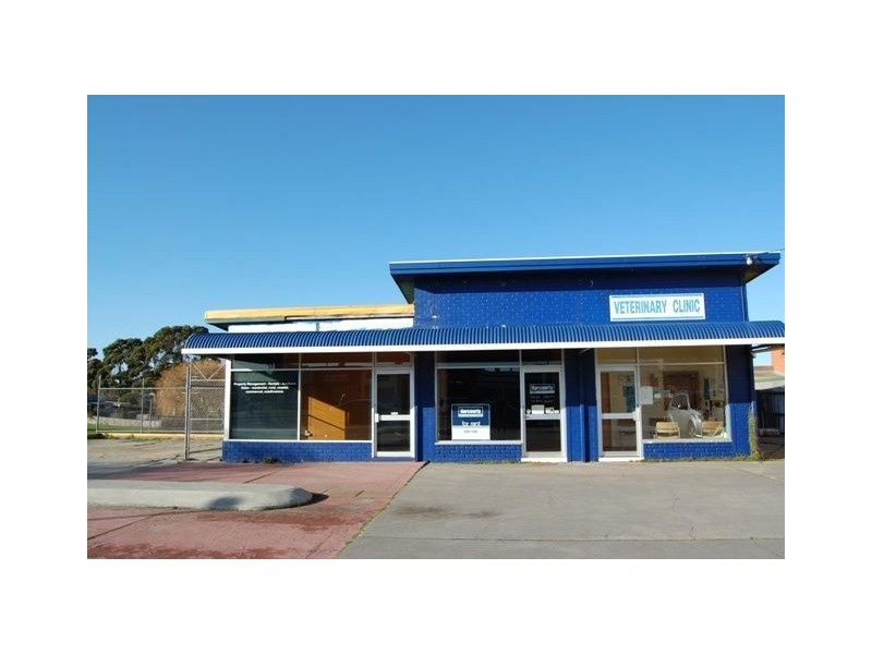 98 Macquarie Street, George Town TAS 7253