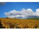 76 Brooks Road, Lalla TAS 7267