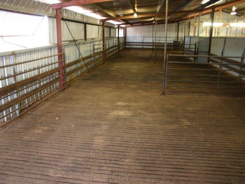 112 Faithfull Road, Boree Creek NSW 2652