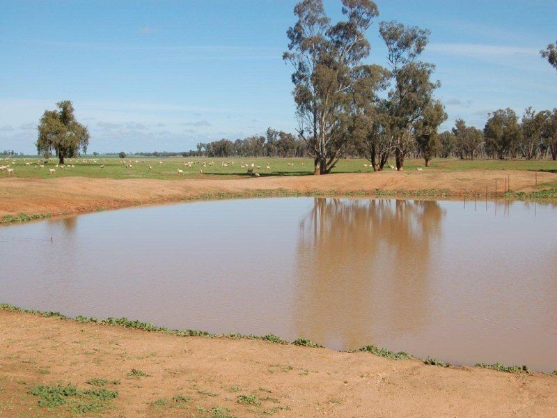 112 Faithfull Road, Boree Creek NSW 2652