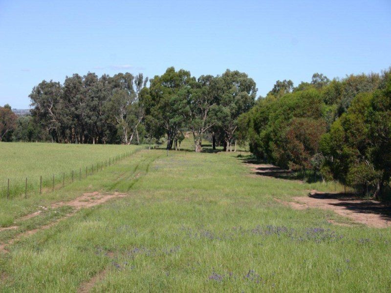 495 Brooklyn Lane, Wagga Wagga NSW 2650