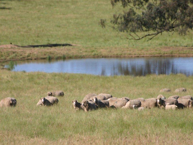 495 Brooklyn Lane, Wagga Wagga NSW 2650