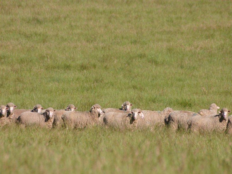 495 Brooklyn Lane, Wagga Wagga NSW 2650