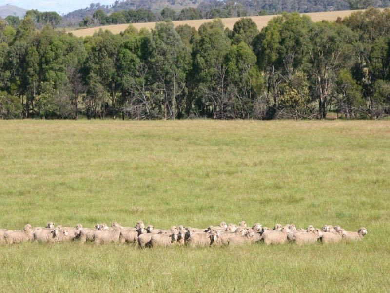 495 Brooklyn Lane, Wagga Wagga NSW 2650