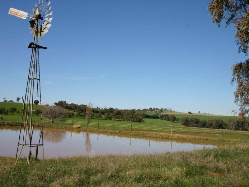 682 Yathella Road, Coursing Park, Wagga Wagga NSW 2650