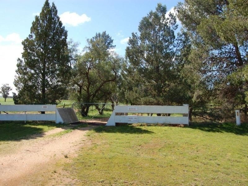 111 Sandigo Faithful Road, Boree Creek NSW 2652