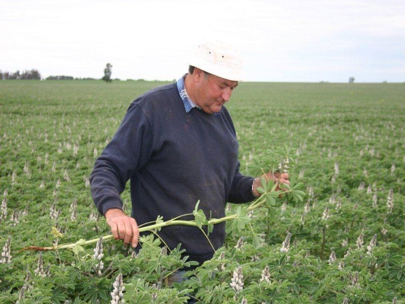 111 Sandigo Faithful Road, Boree Creek NSW 2652