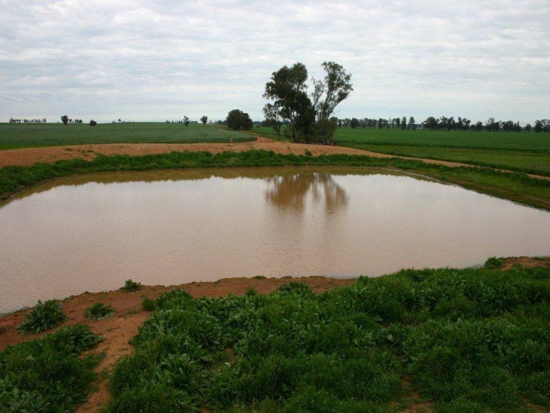 111 Sandigo Faithful Road, Boree Creek NSW 2652