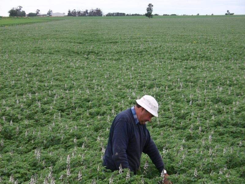 111 Sandigo Faithful Road, Boree Creek NSW 2652