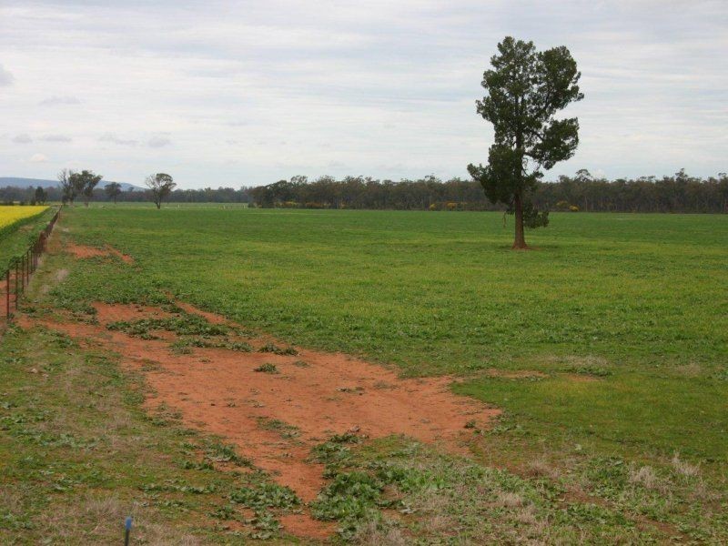 111 Sandigo Faithful Road, Boree Creek NSW 2652