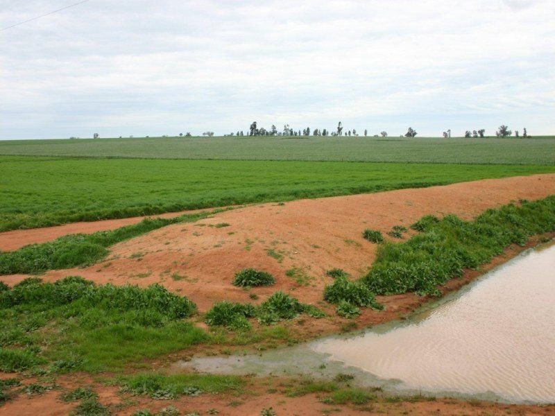 111 Sandigo Faithful Road, Boree Creek NSW 2652