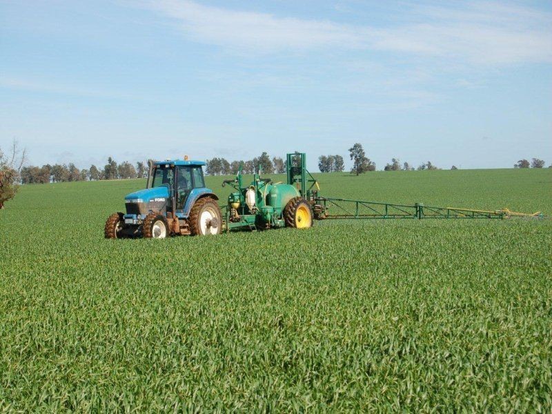 111 Sandigo Faithful Road, Boree Creek NSW 2652