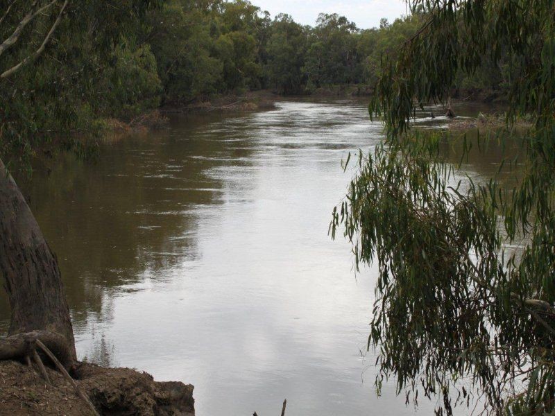 124 Reserve Road, Currawarna NSW 2650