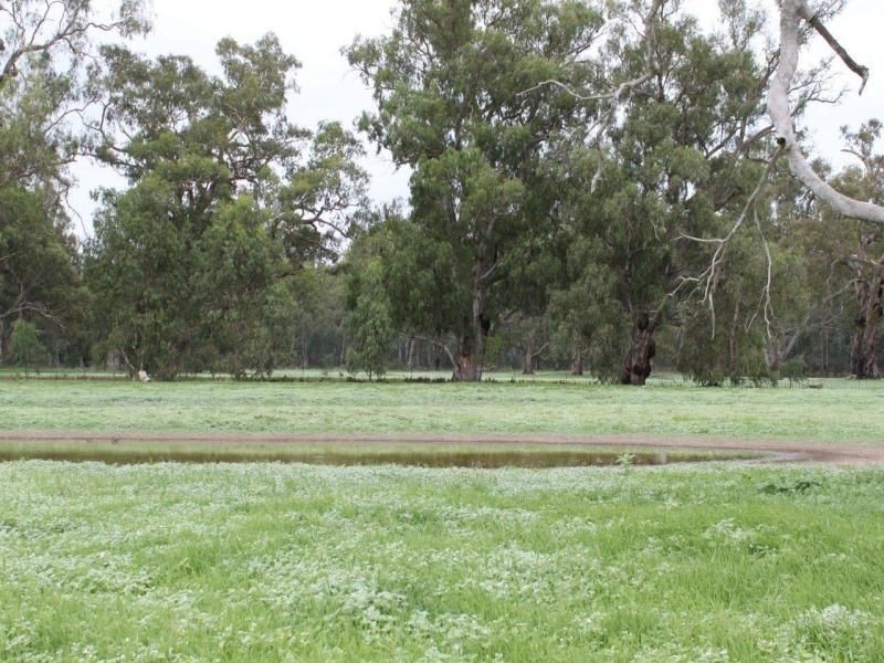 124 Reserve Road, Currawarna NSW 2650