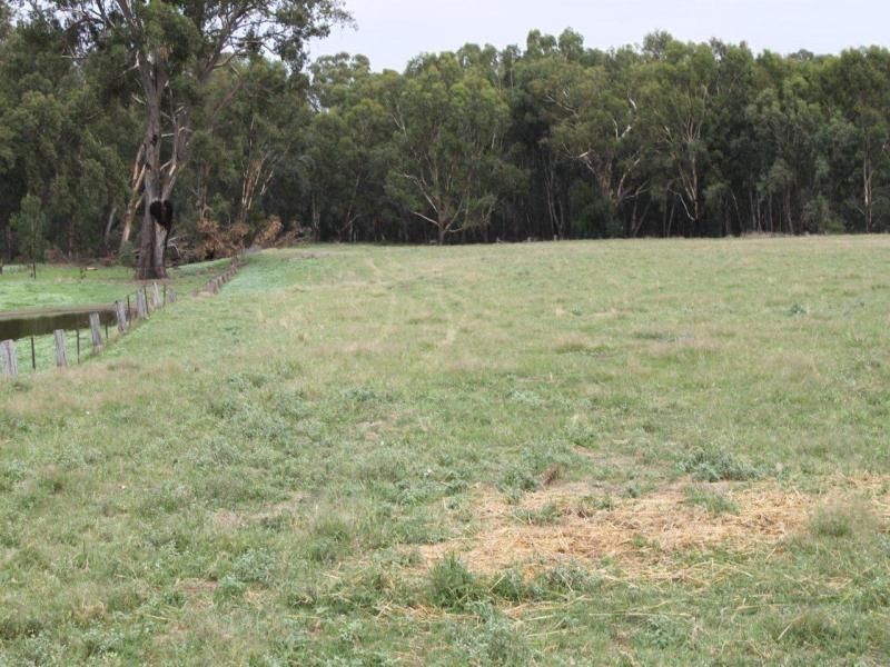 124 Reserve Road, Currawarna NSW 2650