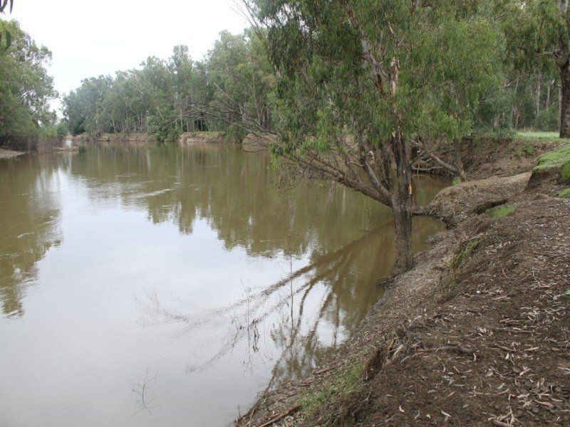 124 Reserve Road, Currawarna NSW 2650