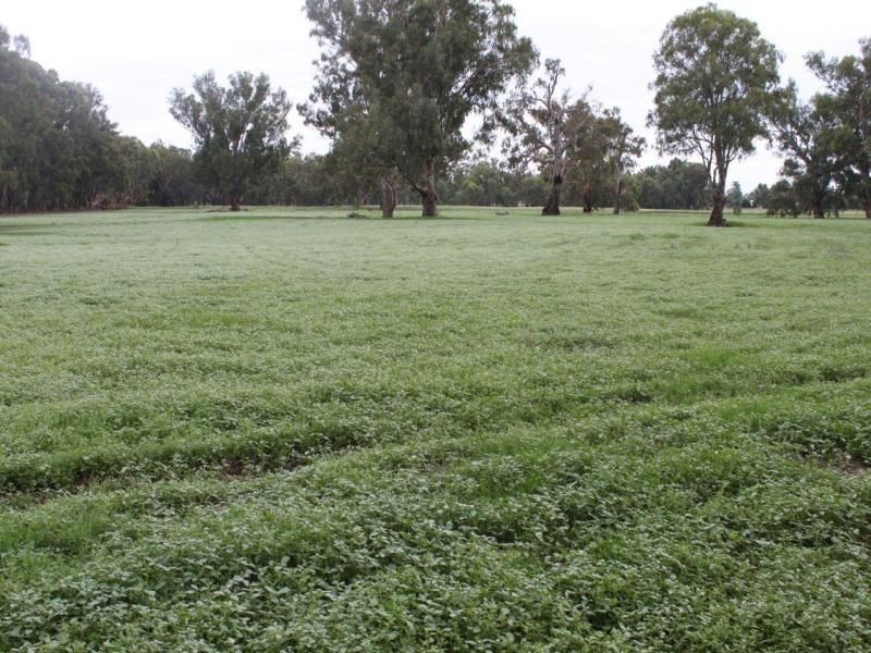 124 Reserve Road, Currawarna NSW 2650