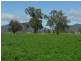 Tumut NSW 2720
