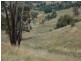 822 Snowy Mountains Highway, Tumut NSW 2720