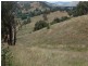 822 Snowy Mountains Highway, Tumut NSW 2720