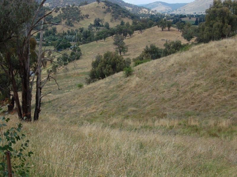 822 Snowy Mountains Highway, Tumut NSW 2720