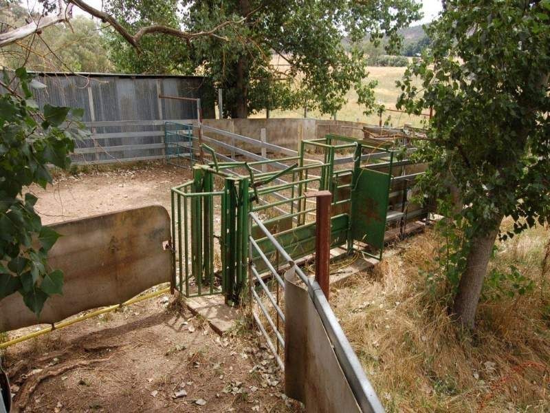 822 Snowy Mountains Highway, Tumut NSW 2720