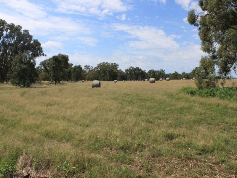 130 Creasys Road, Mangoplah NSW 2652