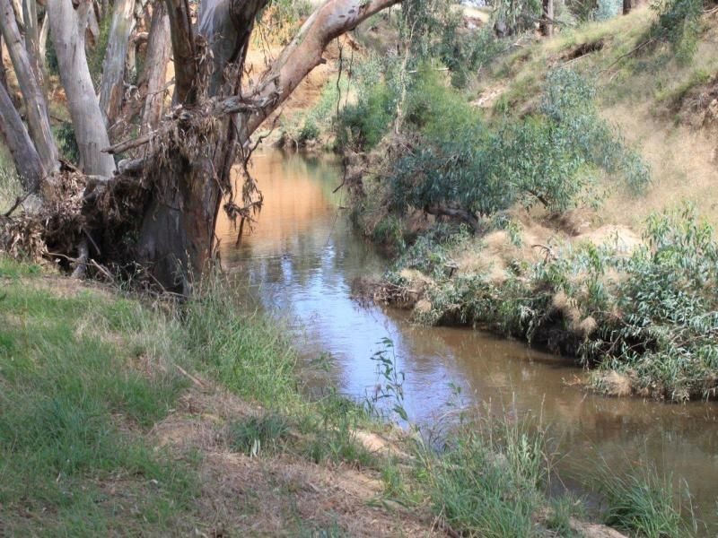 130 Creasys Road, Mangoplah NSW 2652