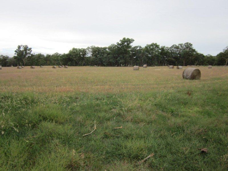 130 Creasys Road, Mangoplah NSW 2652