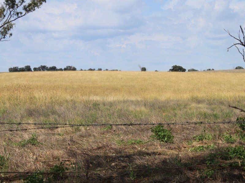 130 Creasys Road, Mangoplah NSW 2652