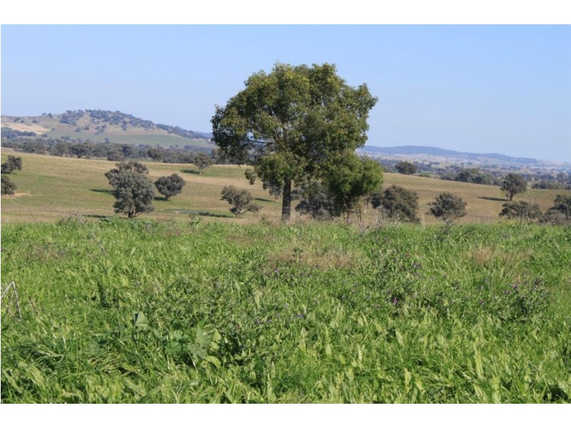 494 Brooklyn Lane, Wagga Wagga NSW 2650