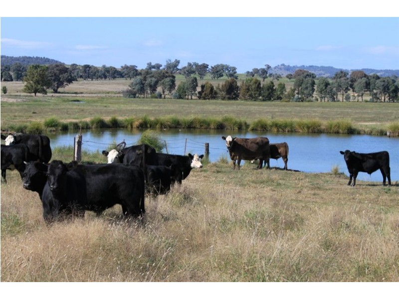 494 Brooklyn Lane, Wagga Wagga NSW 2650