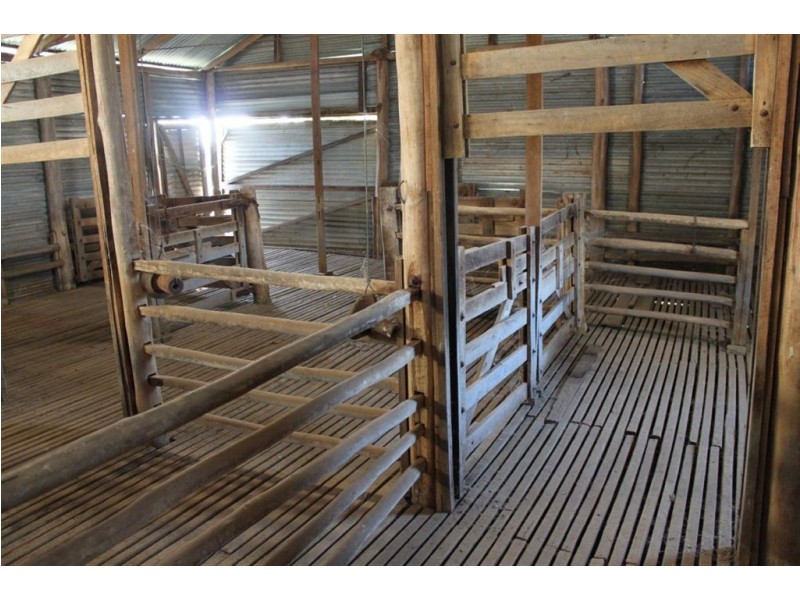 494 Brooklyn Lane, Wagga Wagga NSW 2650