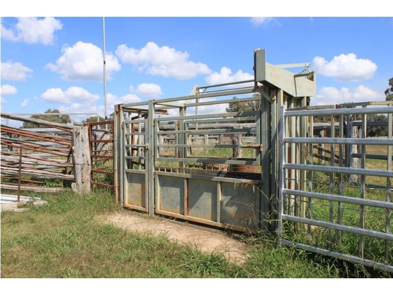 494 Brooklyn Lane, Wagga Wagga NSW 2650