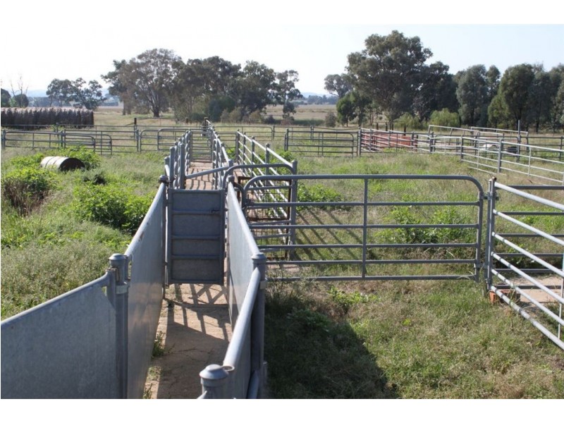 494 Brooklyn Lane, Wagga Wagga NSW 2650