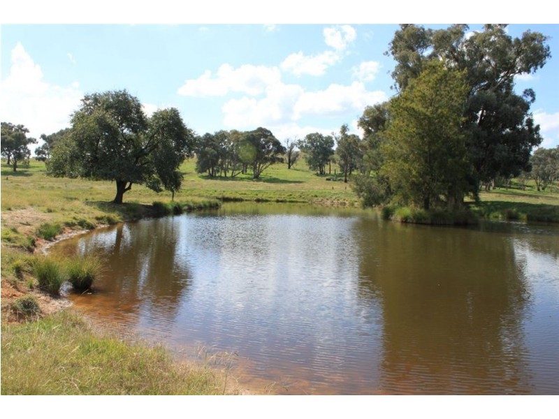 494 Brooklyn Lane, Wagga Wagga NSW 2650