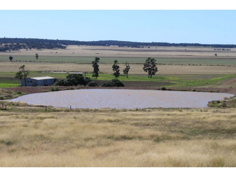 1383 Richards Lane, Beckom NSW 2665