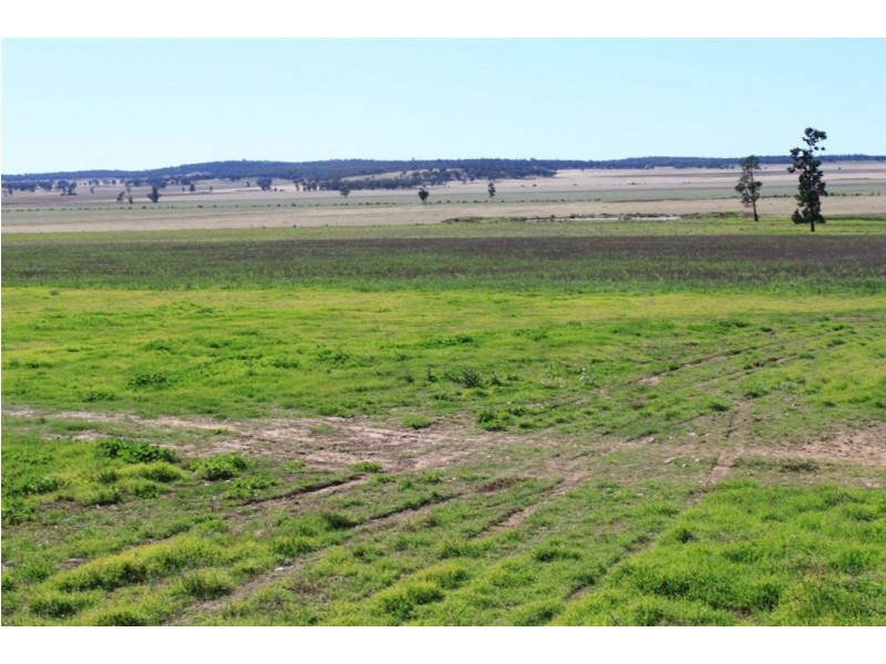 1383 Richards Lane, Beckom NSW 2665