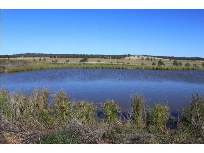 1383 Richards Lane, Beckom NSW 2665