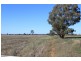 1383 Richards Lane, Beckom NSW 2665