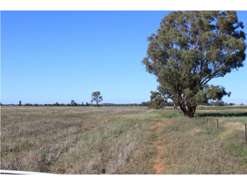 1383 Richards Lane, Beckom NSW 2665
