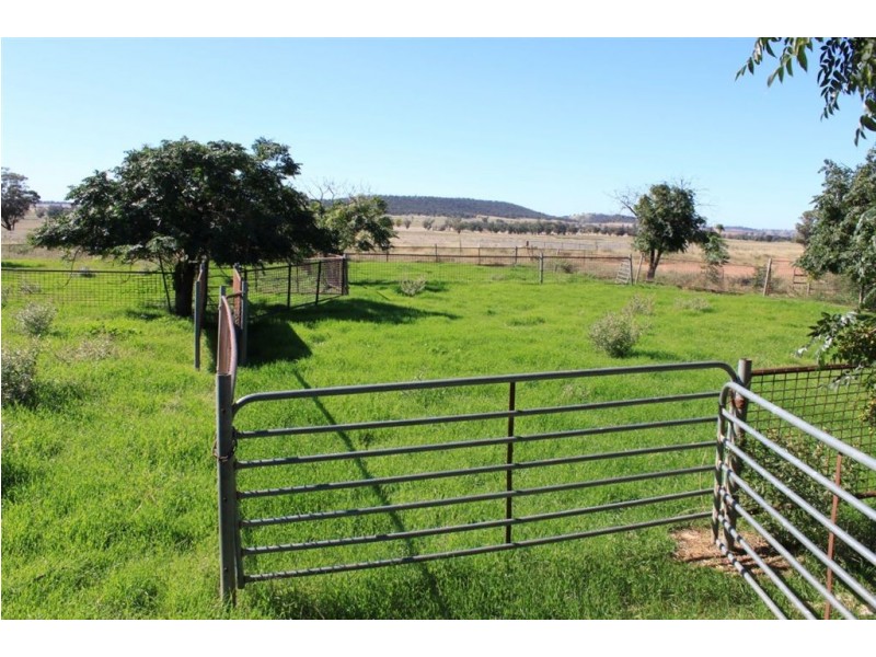 1383 Richards Lane, Beckom NSW 2665
