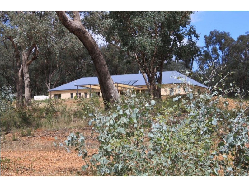 979 Four Mile Lane, Holbrook NSW 2644