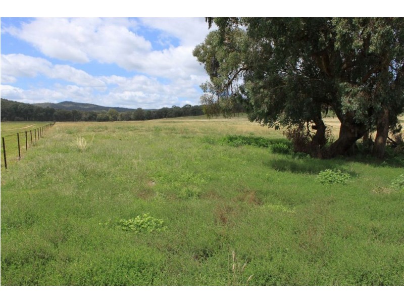 979 Four Mile Lane, Holbrook NSW 2644