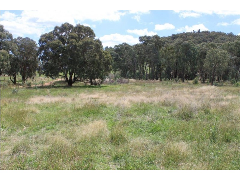 979 Four Mile Lane, Holbrook NSW 2644