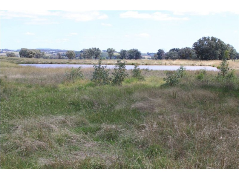 979 Four Mile Lane, Holbrook NSW 2644